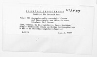 Image Associated With the Occurrence